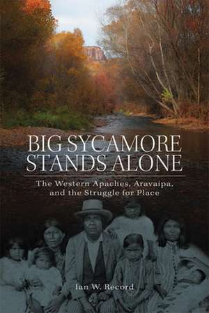 Big Sycamore Stands Alone: Western Apaches, Aravaipa, and the Struggle for Place de Ian W. Record