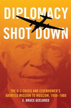 Diplomacy Shot Down de E. Bruce Geelhoed