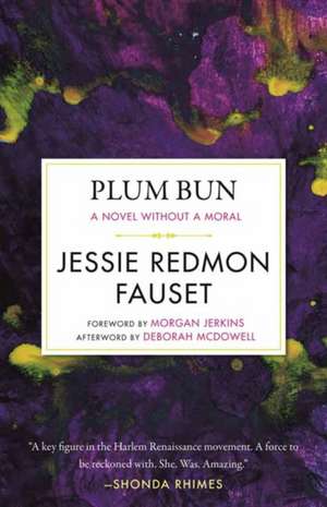 Plum Bun de Jessi Redmon Fauset