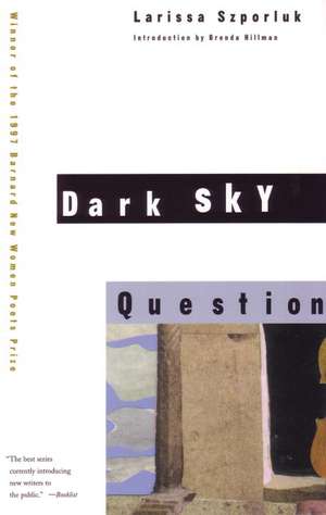 Dark Sky Question de Larissa Szporluk