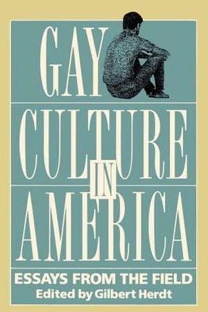 Gay Culture in America: Essays from the Field de Gilbert H. Herdt