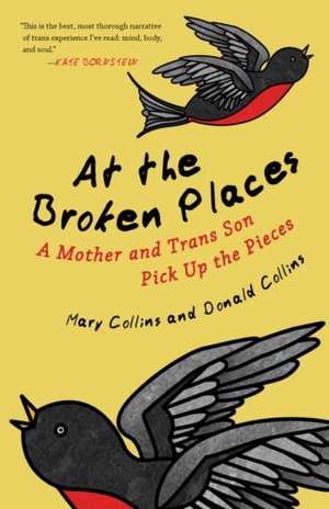 At the Broken Places de Mary Collins