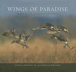 Wings of Paradise: Birds of the Louisiana Wetlands de Jr. Hohorst, Charlie