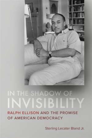 In the Shadow of Invisibility de Sterling Lecater Bland