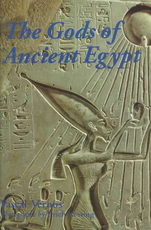 The Gods of Ancient Egypt de Pascal Vernus