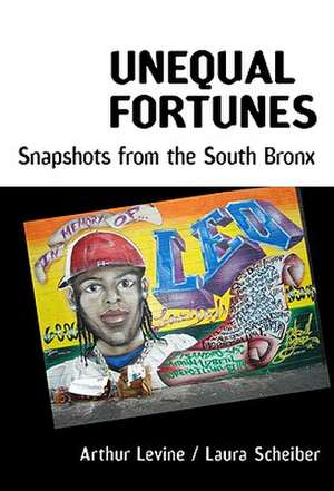 Unequal Fortunes: Snapshots from the South Bronx de Arthur Levine