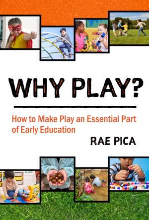 Why Play? de Rae Pica