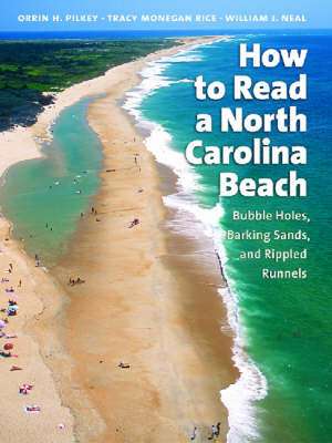 How to Read a North Carolina Beach: Bubble Holes, Barking Sands, and Rippled Runnels de Orrin H. Pilkey