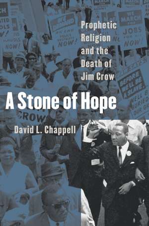 A Stone of Hope de David L. Chappell