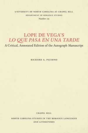 Lope de Vega's Lo que pasa en una tarde de Richard Angelo Picerno