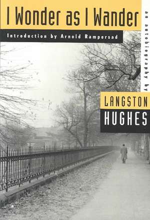 I Wonder as I Wander: An Autobiographical Journey de Langston Hughes