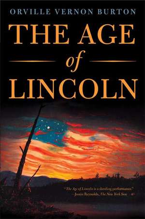 The Age of Lincoln de Orville Vernon Burton