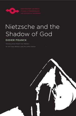 Nietzsche and the Shadow of God de Didier Franck