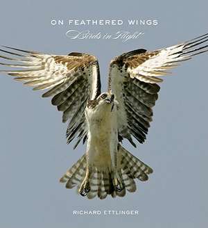 On Feathered Wings de Richard Ettlinger