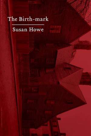 The Birth–mark – Essays de Susan Howe