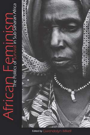 African Feminism – The Politics of Survival in Sub–Saharan Africa de Gwendolyn Mikell