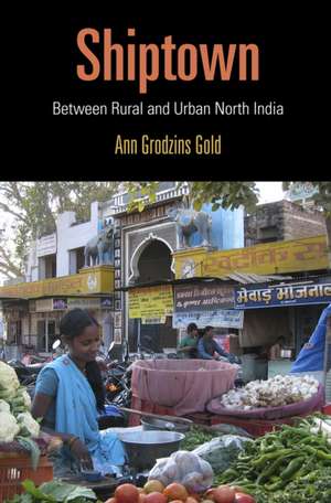 Shiptown – Between Rural and Urban North India de Ann Grodzins Gold