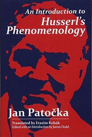 An Introduction to Husserl's Phenomenology de Jan Patocka