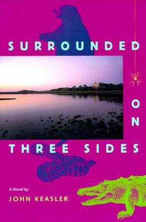 Surrounded on Three Sides de John Keasler