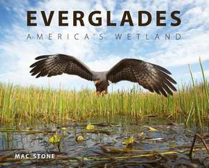 Everglades: America's Wetland de Mac Stone