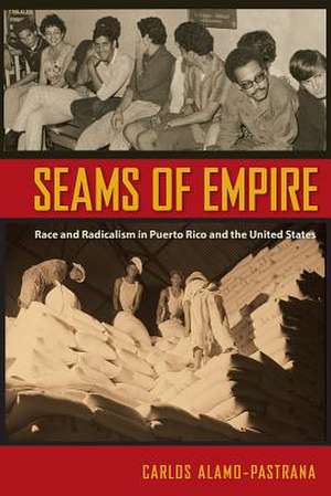 Alamo-Pastrana, C: Seams of Empire de Carlos Alamo-Pastrana