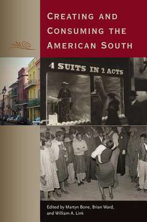 Creating and Consuming the American South: Calendars, Astronomy, and Urbanism in the Early Lowlands de Martyn Bone