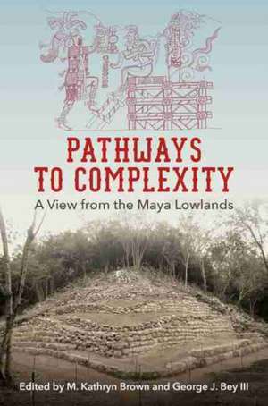 Pathways to Complexity de M. Kathryn Brown