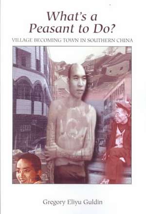 What's A Peasant To Do? Village Becoming Town In Southern China de Greg Guldin