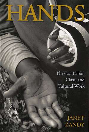 Hands: Physical Labor, Class, and Cultural Work de Janet Zandy