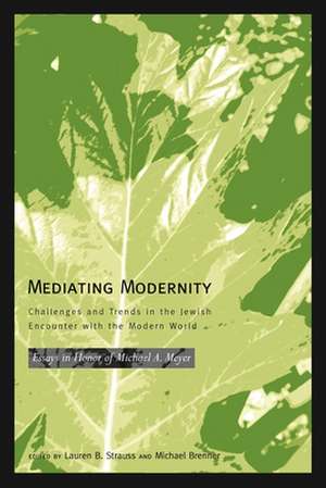 Mediating Modernity: Essays in Honor of Michael A. Meyer de Lauren B. Strauss