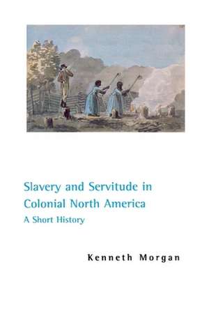 Slavery and Servitude in Colonial North America: A Short History de Wendy Chavkin