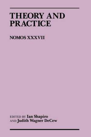Theory and Practice de Ian Shapiro