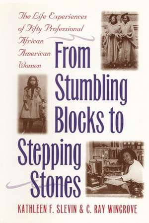 From Stumbling Blocks to Stepping Stones – The Life Experiences of Fifty Professional African American Women de Kathleen F. Slevin