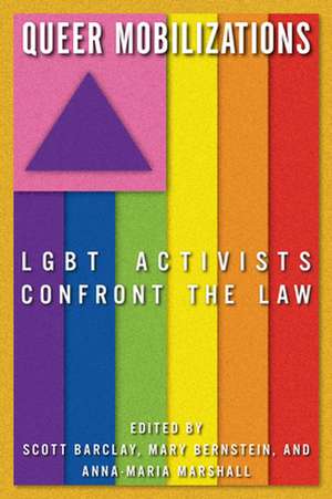 Queer Mobilizations – LGBT Activists Confront the Law de Mary Bernstein