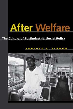 After Welfare – The Culture of Postindustrial Social Policy de Sanford F. Schram