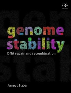 Genome Stability: DNA Repair and Recombination de James Haber