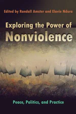 Exploring the Power of Nonviolence: Peace, Politics, and Practice de Randell Amster