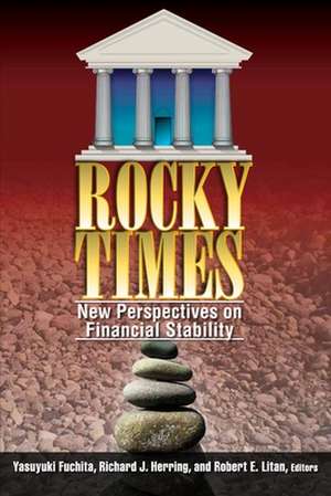 Rocky Times: New Perspectives on Financial Stability de Yasuyuki Fuchita