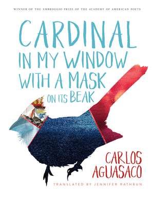 Cardinal in My Window with a Mask on Its Beak de Carlos Aguasaco