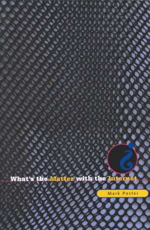 What’s the Matter with the Internet? de Mark Poster