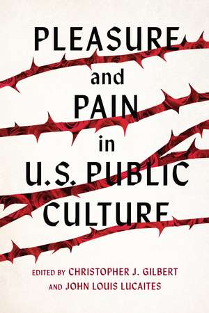 Pleasure and Pain in US Public Culture de Christopher J. Gilbert