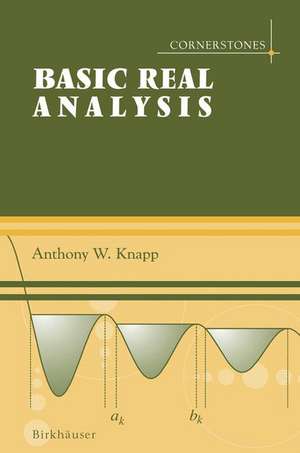 Basic Real Analysis de Anthony W. Knapp