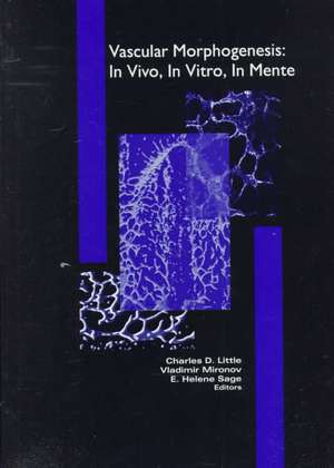 Vascular Morphogenesis: In Vivo, In Vitro, In Mente de Vladimir Mironov