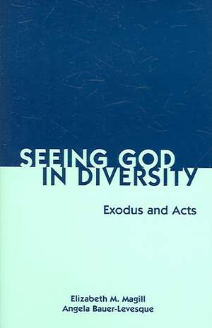 Seeing God in Diversity: Exodus and Acts de Elizabeth M. Magill