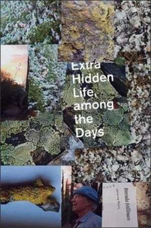 Extra Hidden Life, Among the Days de Brenda Hillman