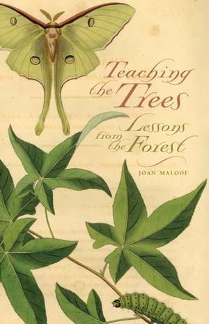 Teaching the Trees: Lessons from the Forest de Joan Maloof