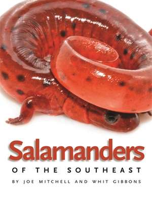 Salamanders of the Southeast de Joe Mitchell