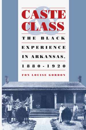 Caste and Class: The Black Experience in Arkansas, 1880-1920 de Fon Louise Gordon