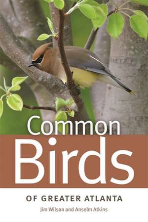 Common Birds of Greater Atlanta de Jim Wilson