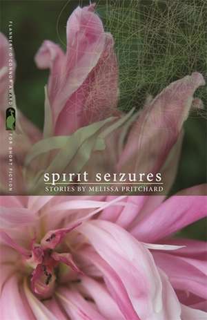 Spirit Seizures de Melissa Pritchard